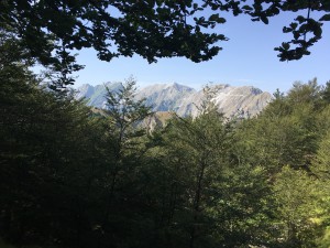 Vista dal Passo sulle Apuane settentrionali